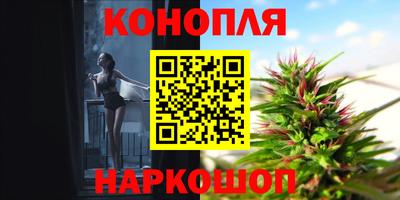 сатива Ирбит