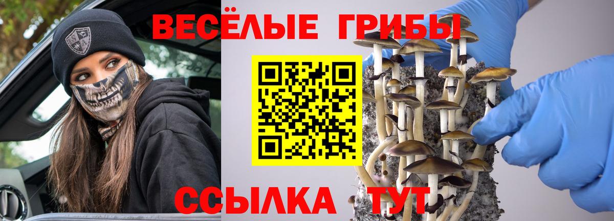 Псилоцибиновые грибы мухоморы  Вход с VPN  Курчалой 